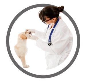 Стоматология