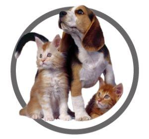 Акушерство – гинекология